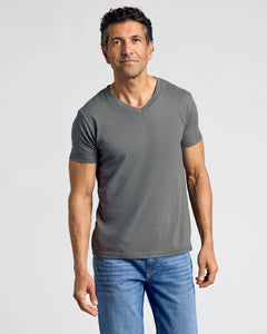 True ClassicCarbon V-Neck Tee