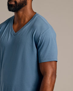 True ClassicFiord V-Neck Tee