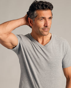 True ClassicHeather Gray V-Neck Tee