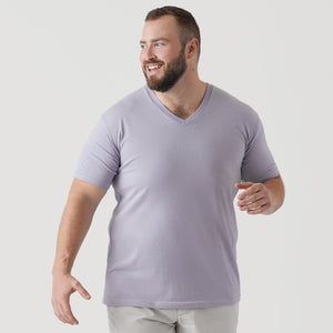 True ClassicLilac Gray V-Neck Tee